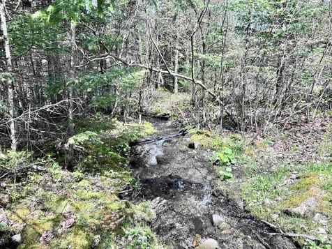 40 Baldwin Lane Clarksville NH 03592