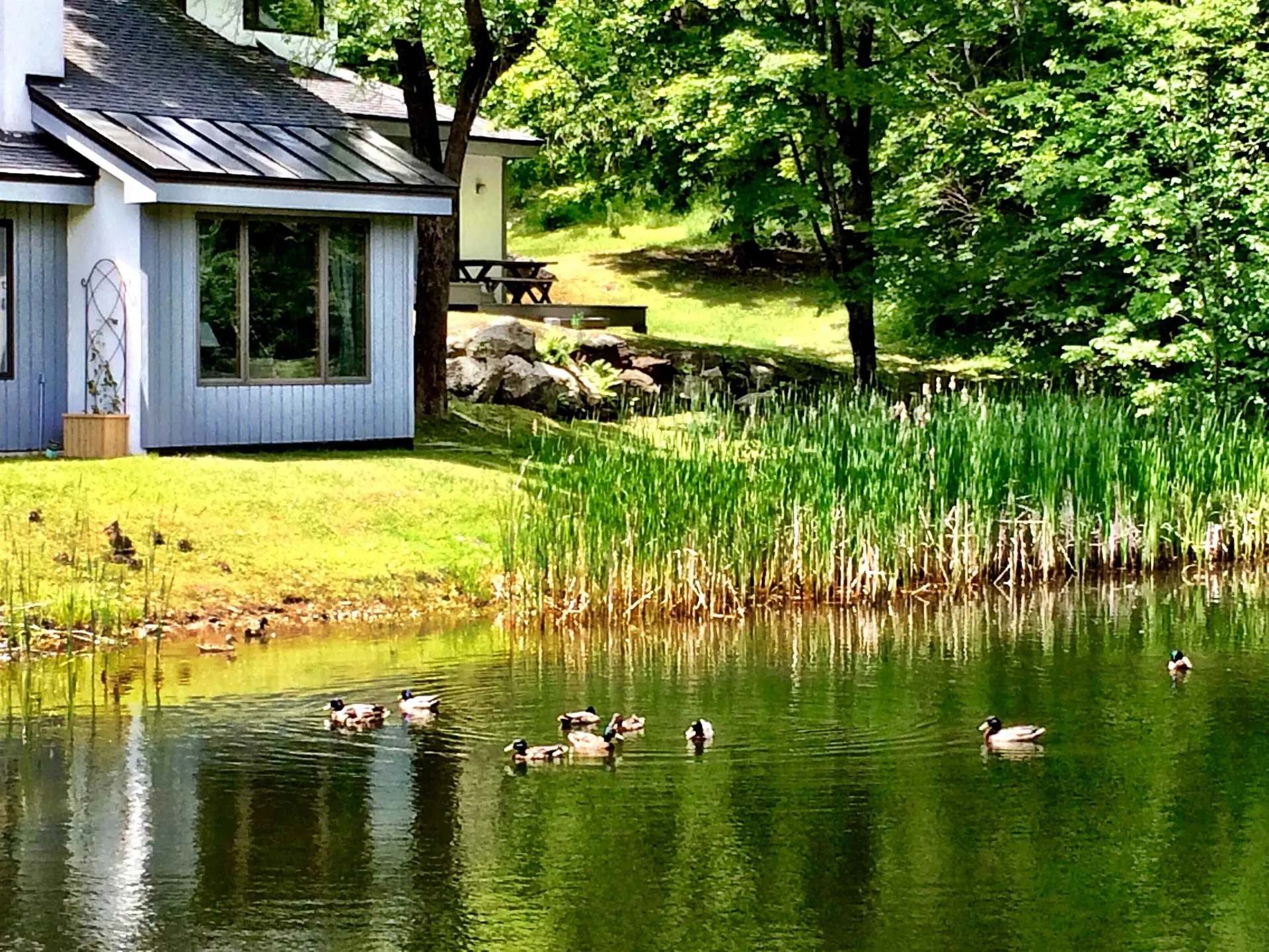 210 Woods Lane Killington VT 05751