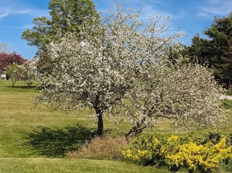 93 Thompson Road Walpole NH 03608