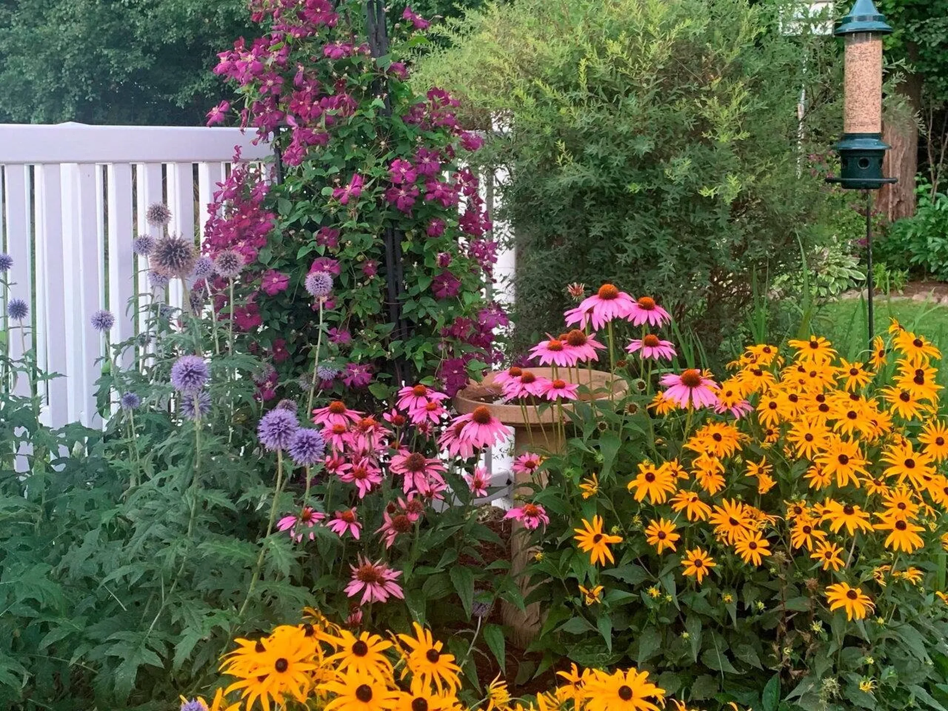 29 Bobolink Circle Essex VT 05452