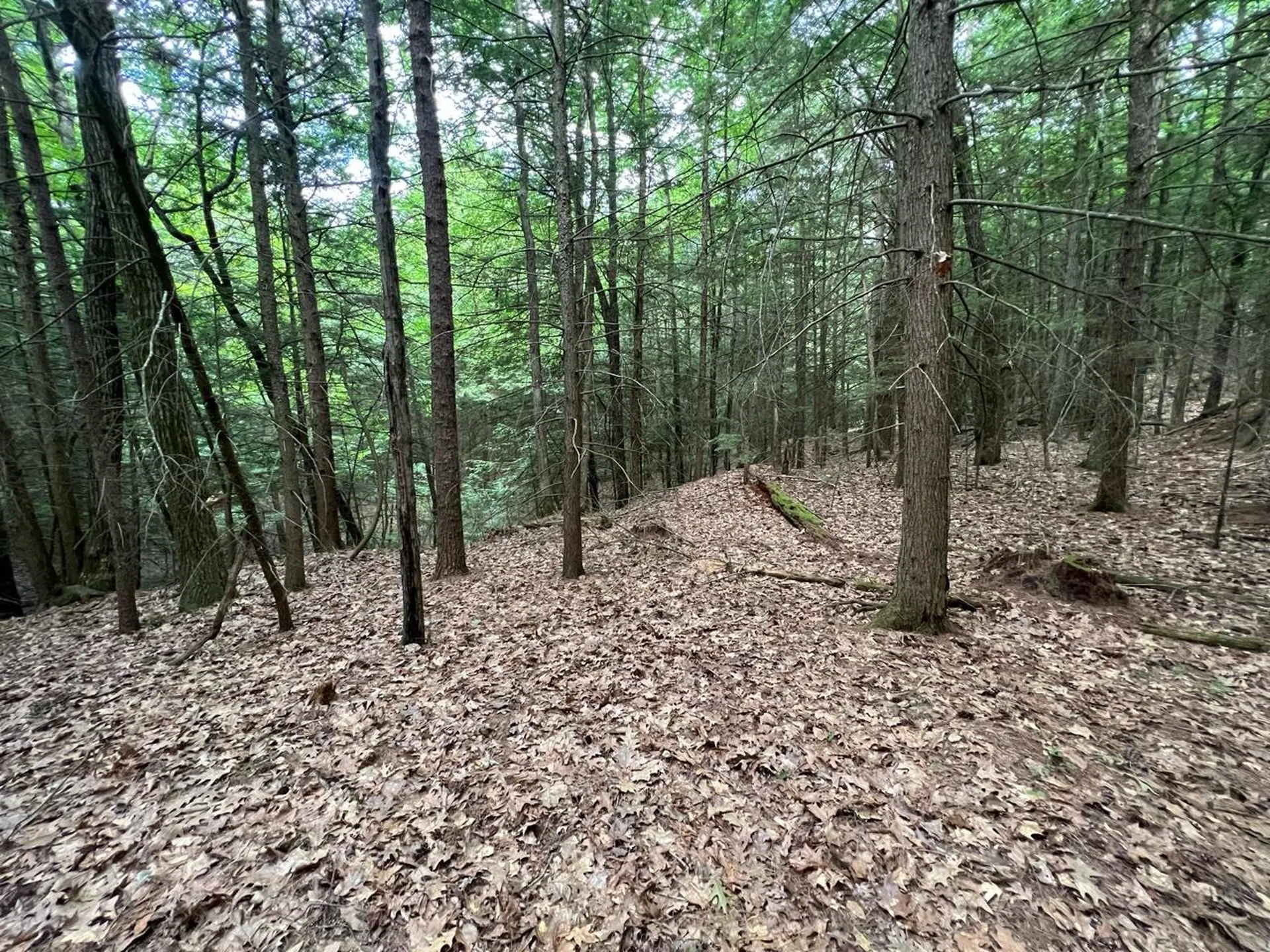 0 Breezy Acres Drive Vernon VT 05354