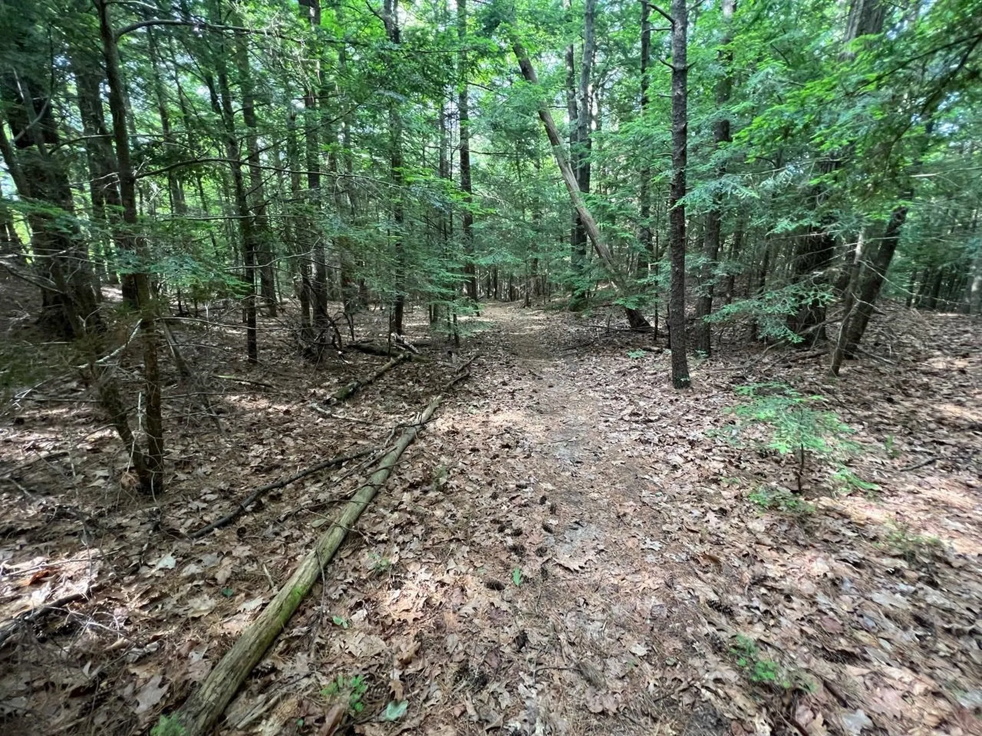 0 Breezy Acres Drive Vernon VT 05354