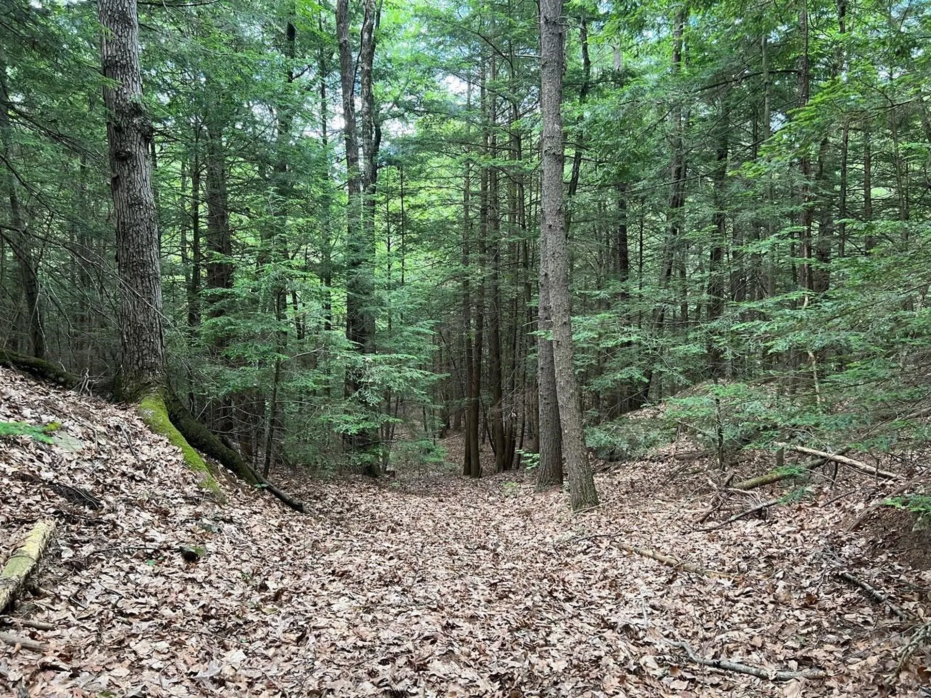 0 Breezy Acres Drive Vernon VT 05354