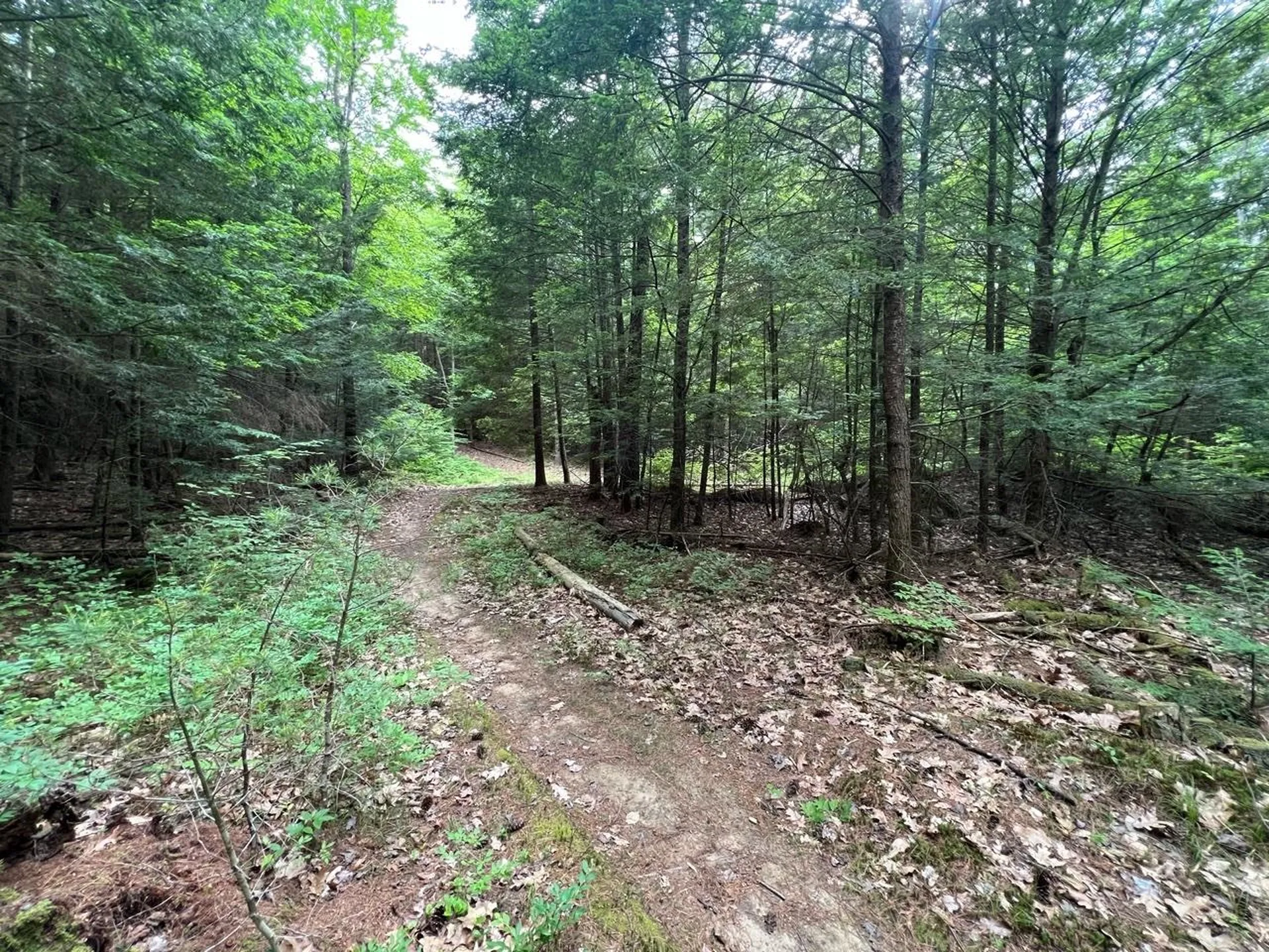 0 Breezy Acres Drive Vernon VT 05354