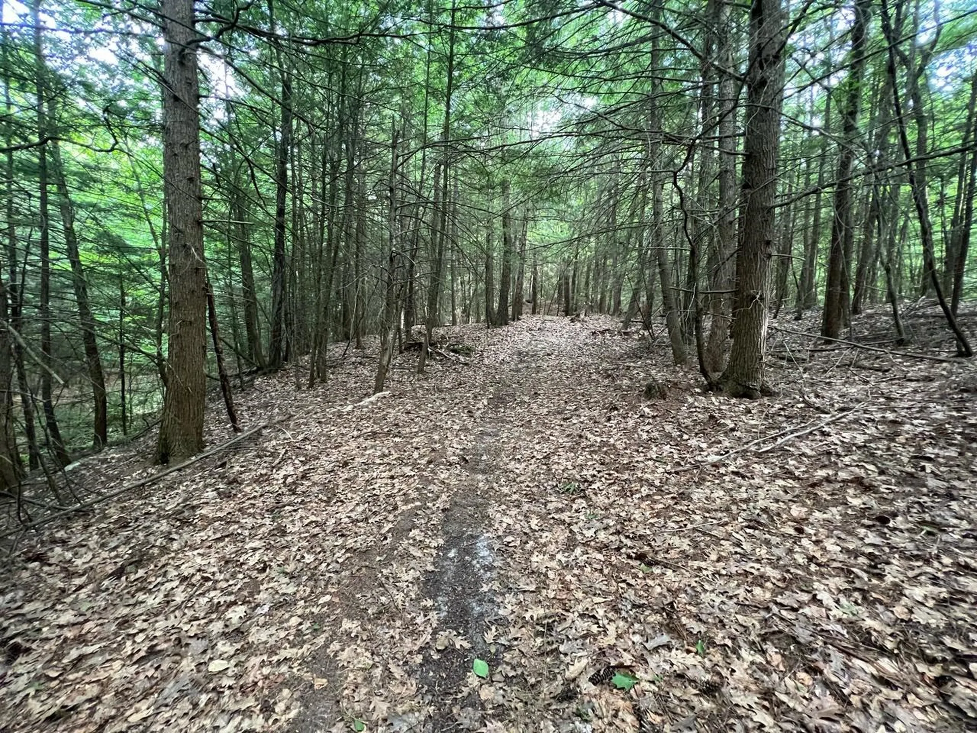 0 Breezy Acres Drive Vernon VT 05354