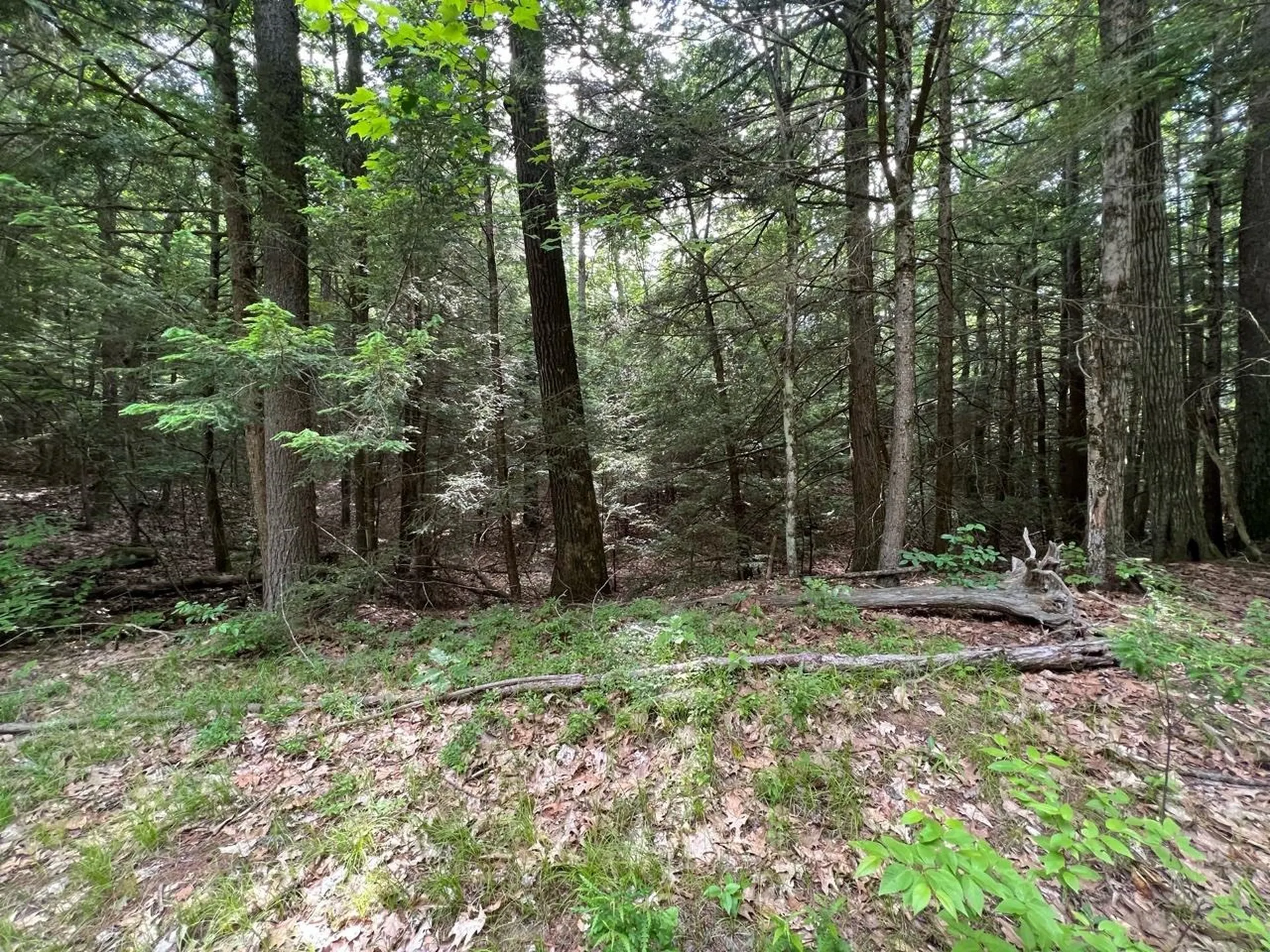 0 Breezy Acres Drive Vernon VT 05354