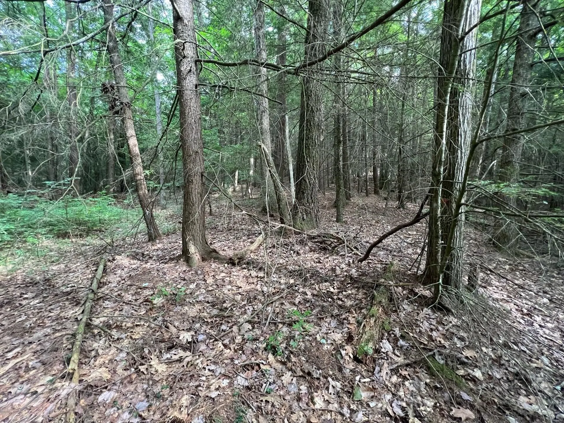 0 Breezy Acres Drive Vernon VT 05354