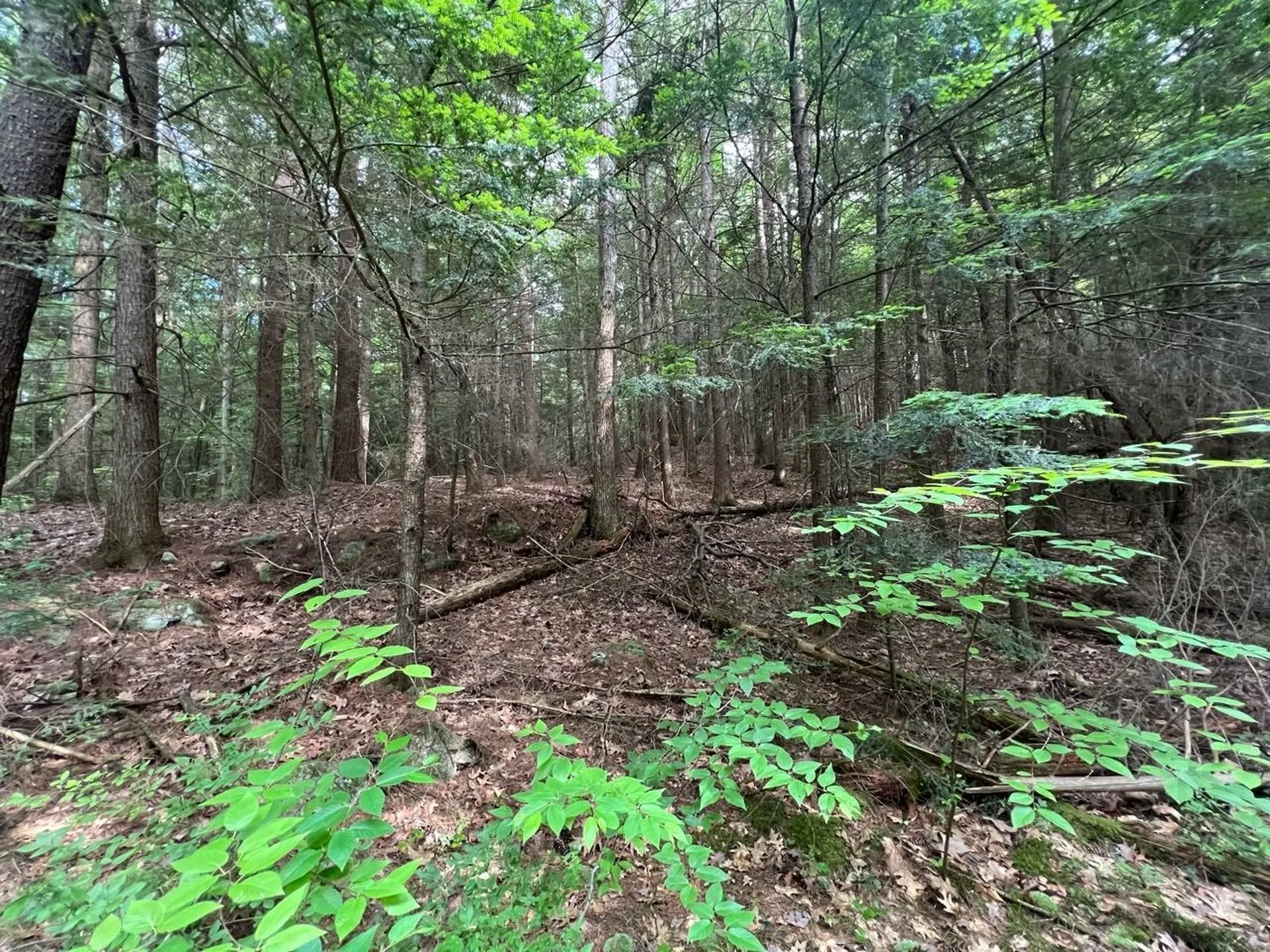 0 Breezy Acres Drive Vernon VT 05354