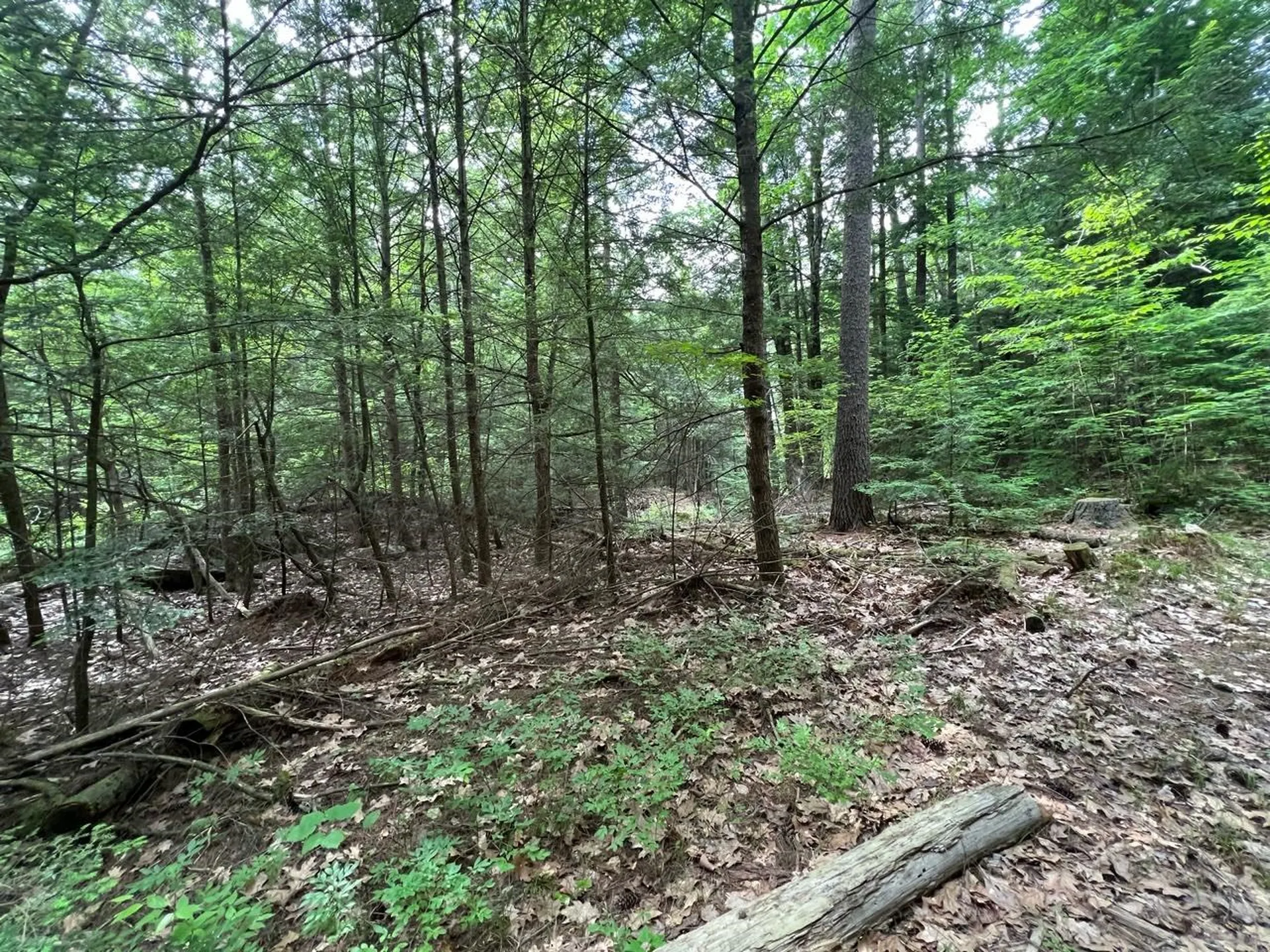 0 Breezy Acres Drive Vernon VT 05354