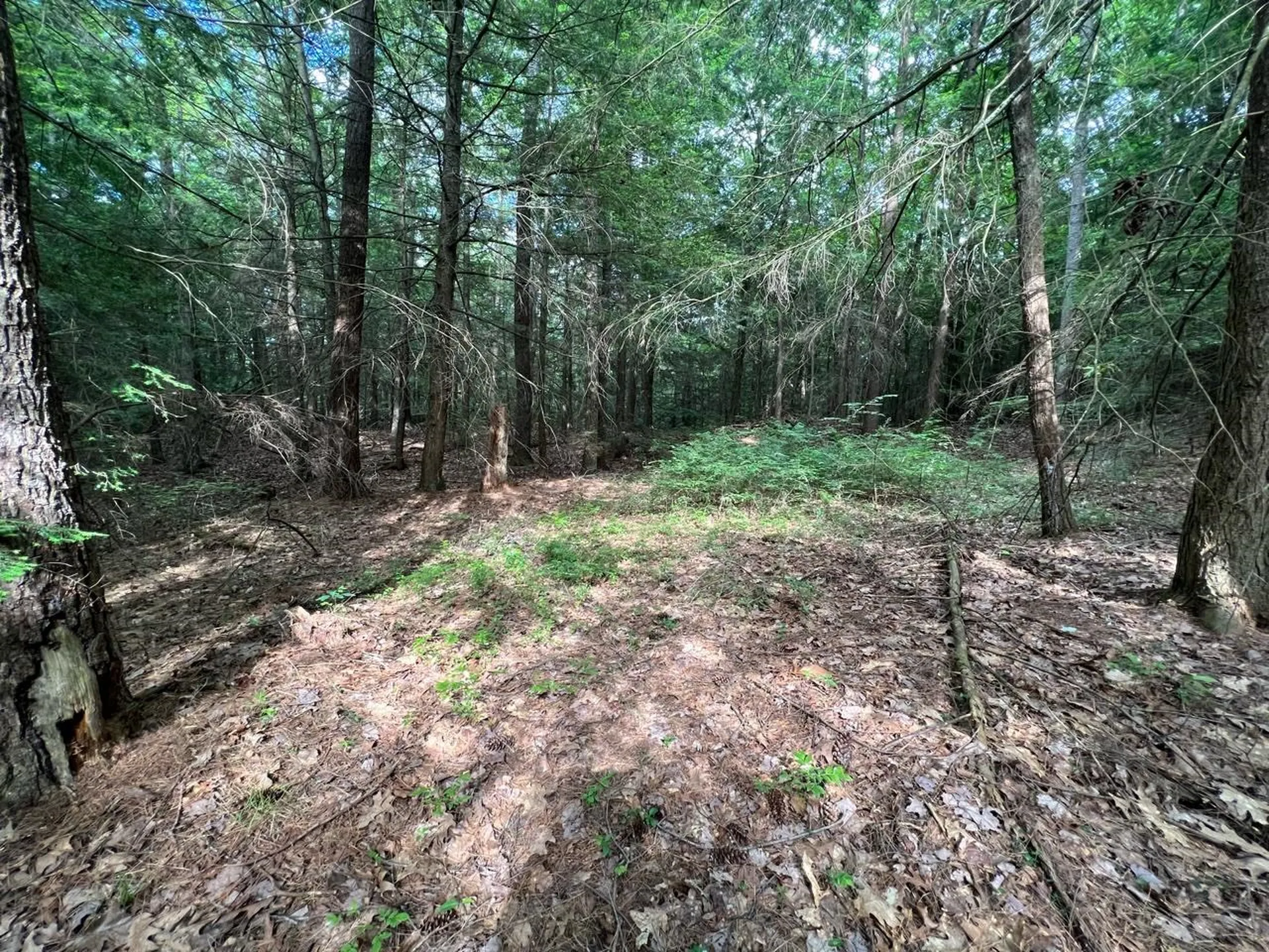 0 Breezy Acres Drive Vernon VT 05354