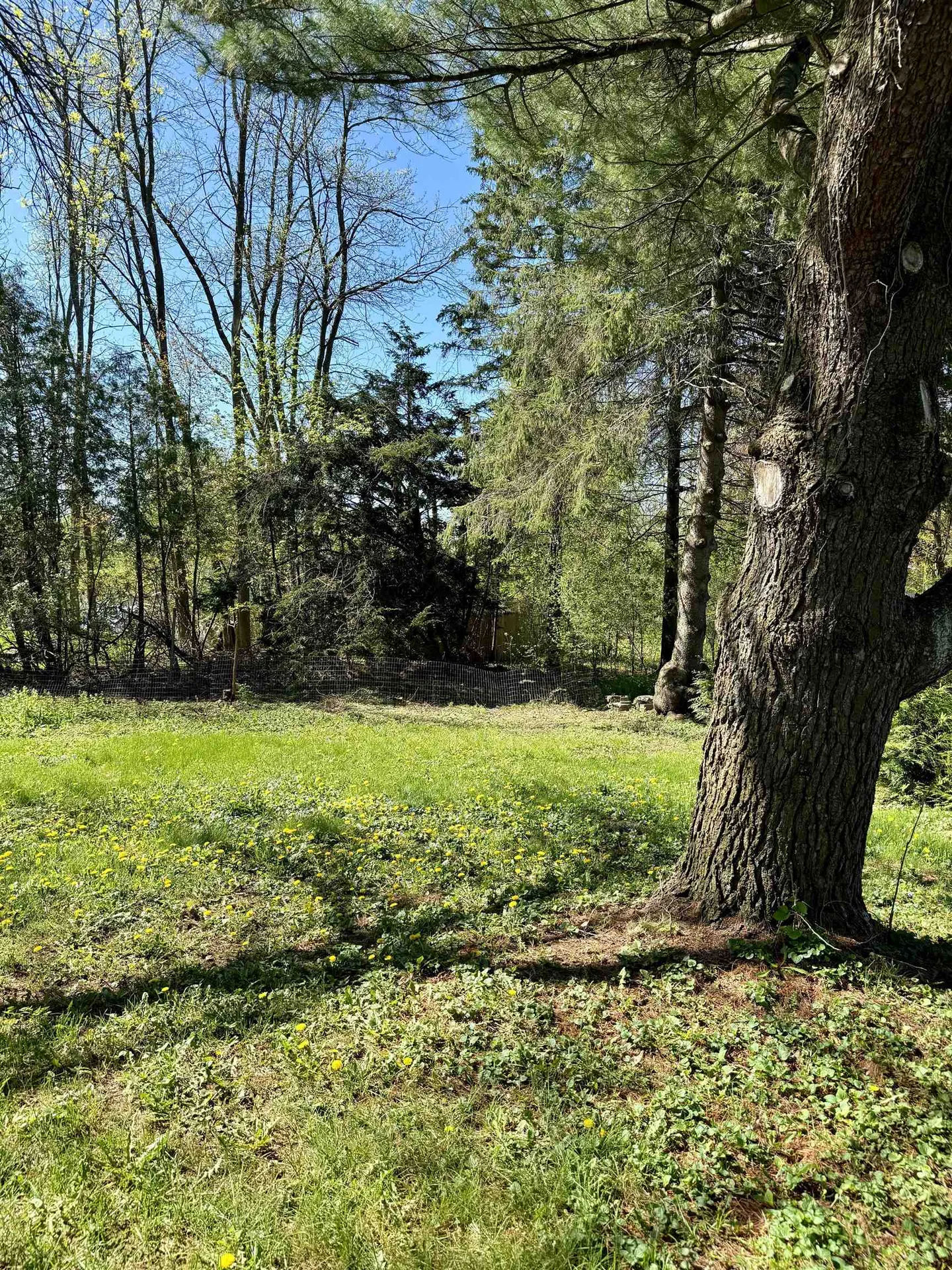 138 Hullcrest Road Shelburne VT 05482