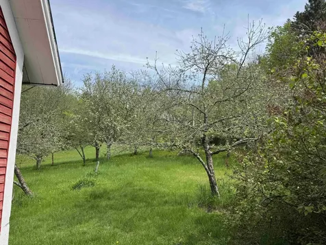 1302 County Hill Road Barnet VT 05819