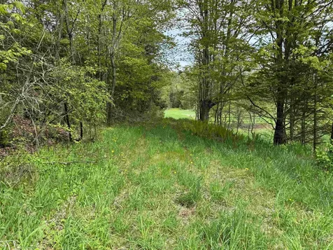 1302 County Hill Road Barnet VT 05819