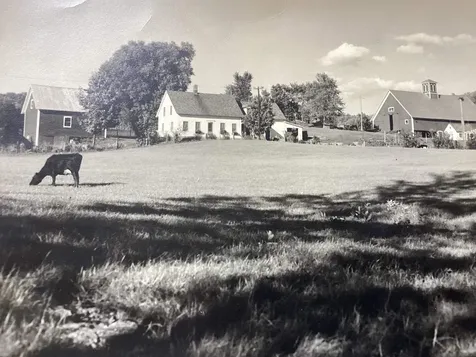 1302 County Hill Road Barnet VT 05819