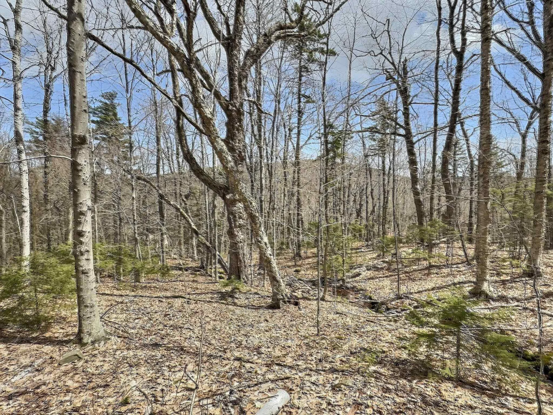 0 Crest Drive Newbury NH 03255