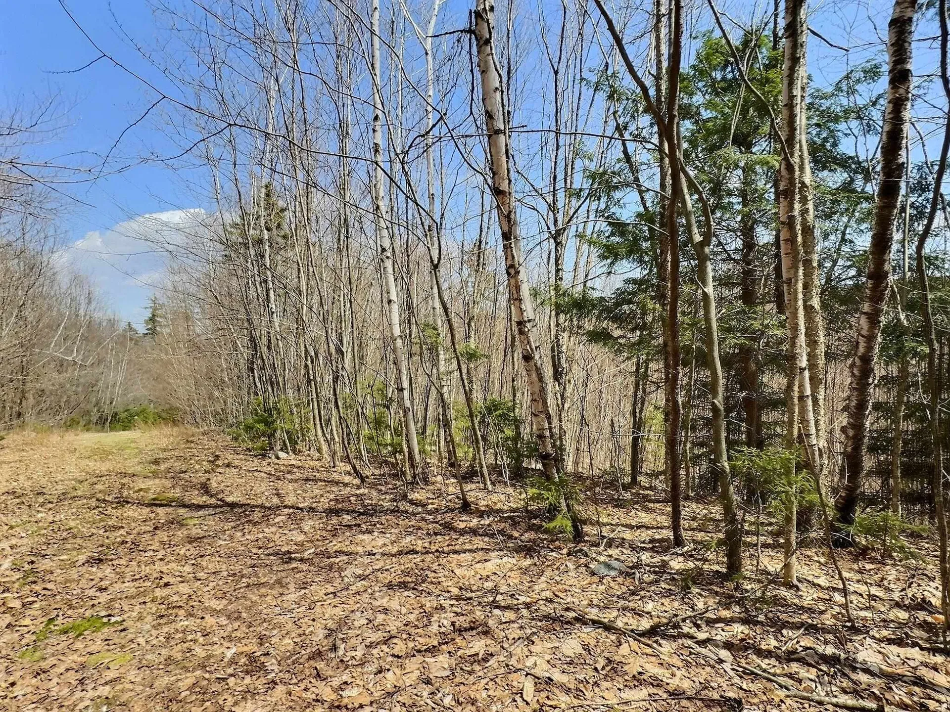 0 Crest Drive Newbury NH 03255