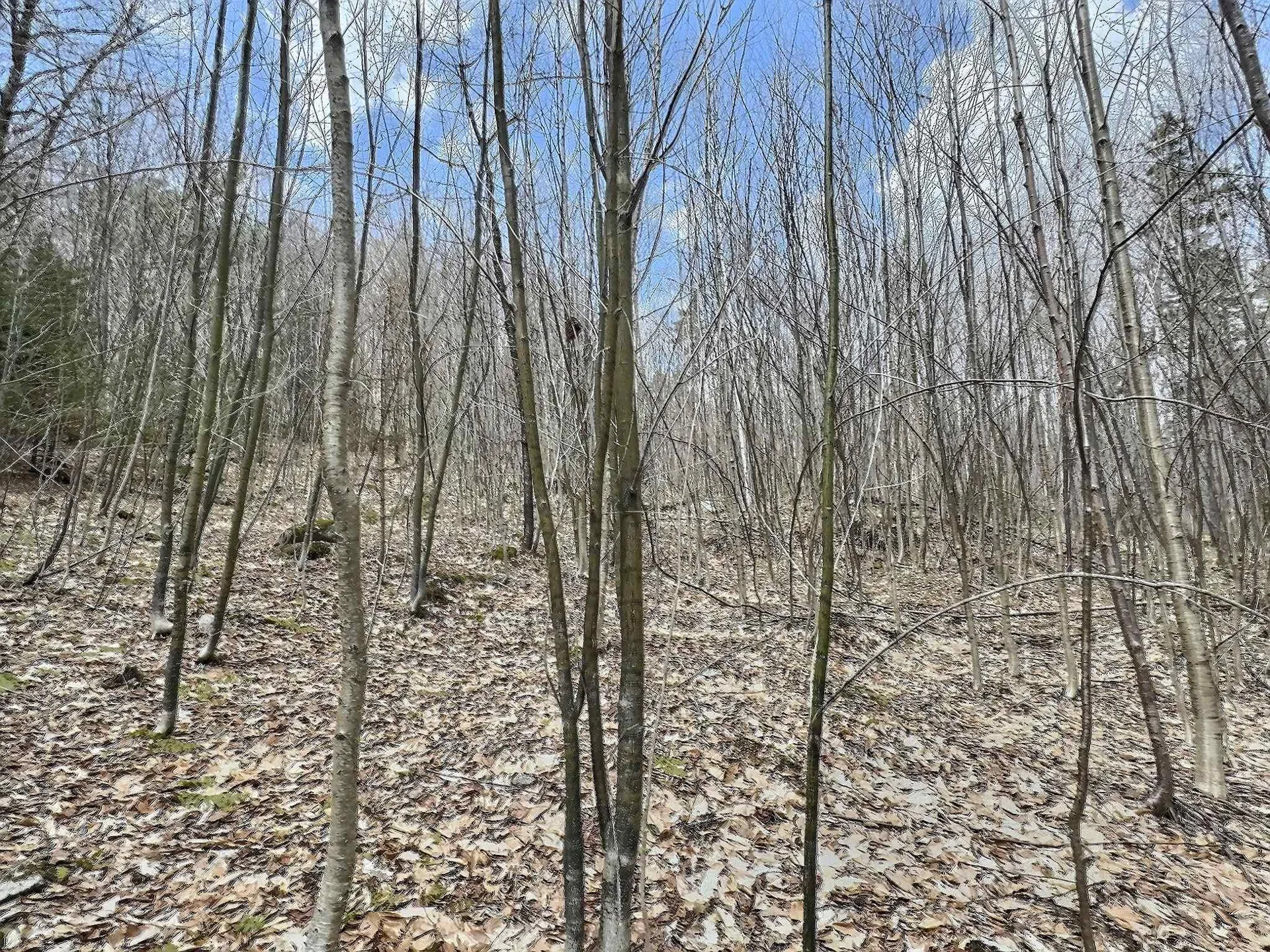 0 Crest Drive Newbury NH 03255