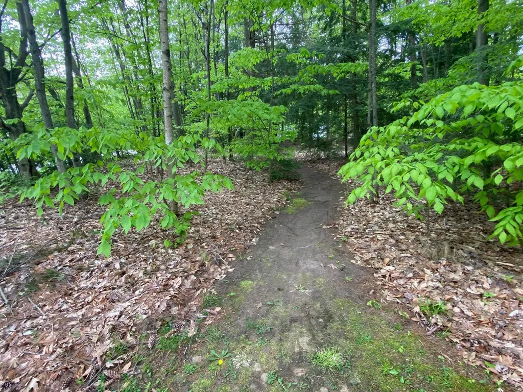 49 Austin Road Georgia VT 05478