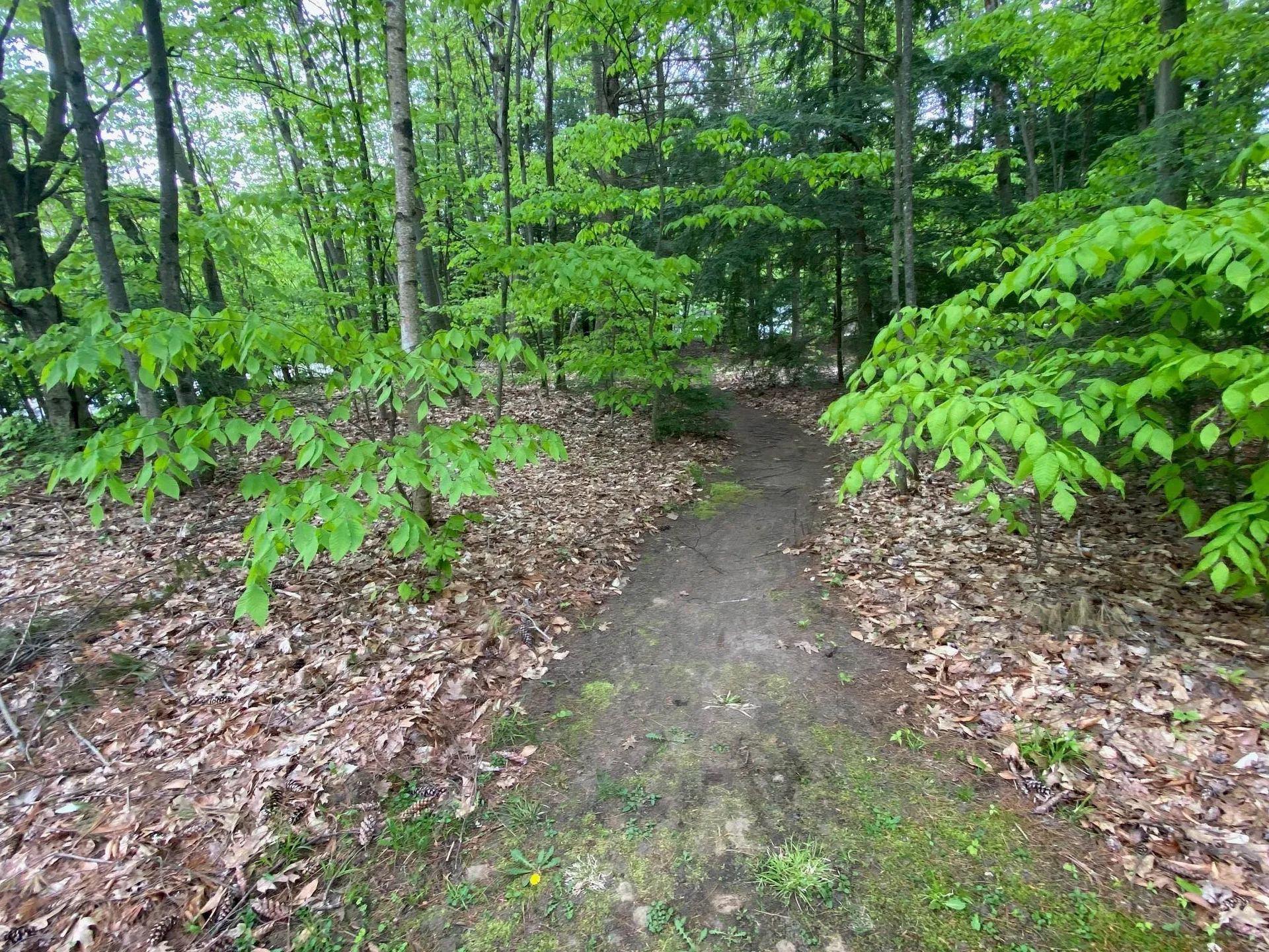 49 Austin Road Georgia VT 05478