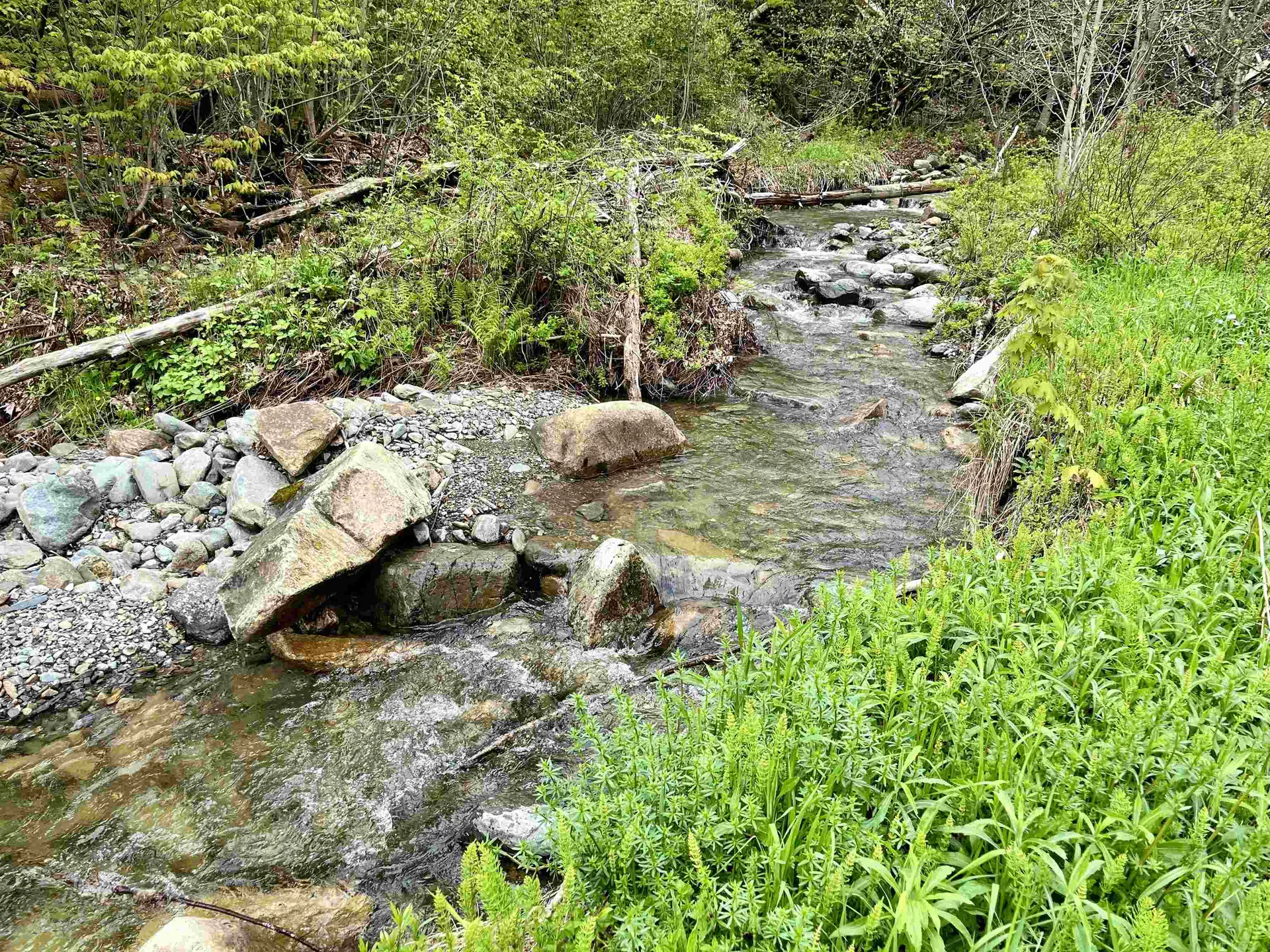 1743 Back Coventry Road Irasburg VT 05845