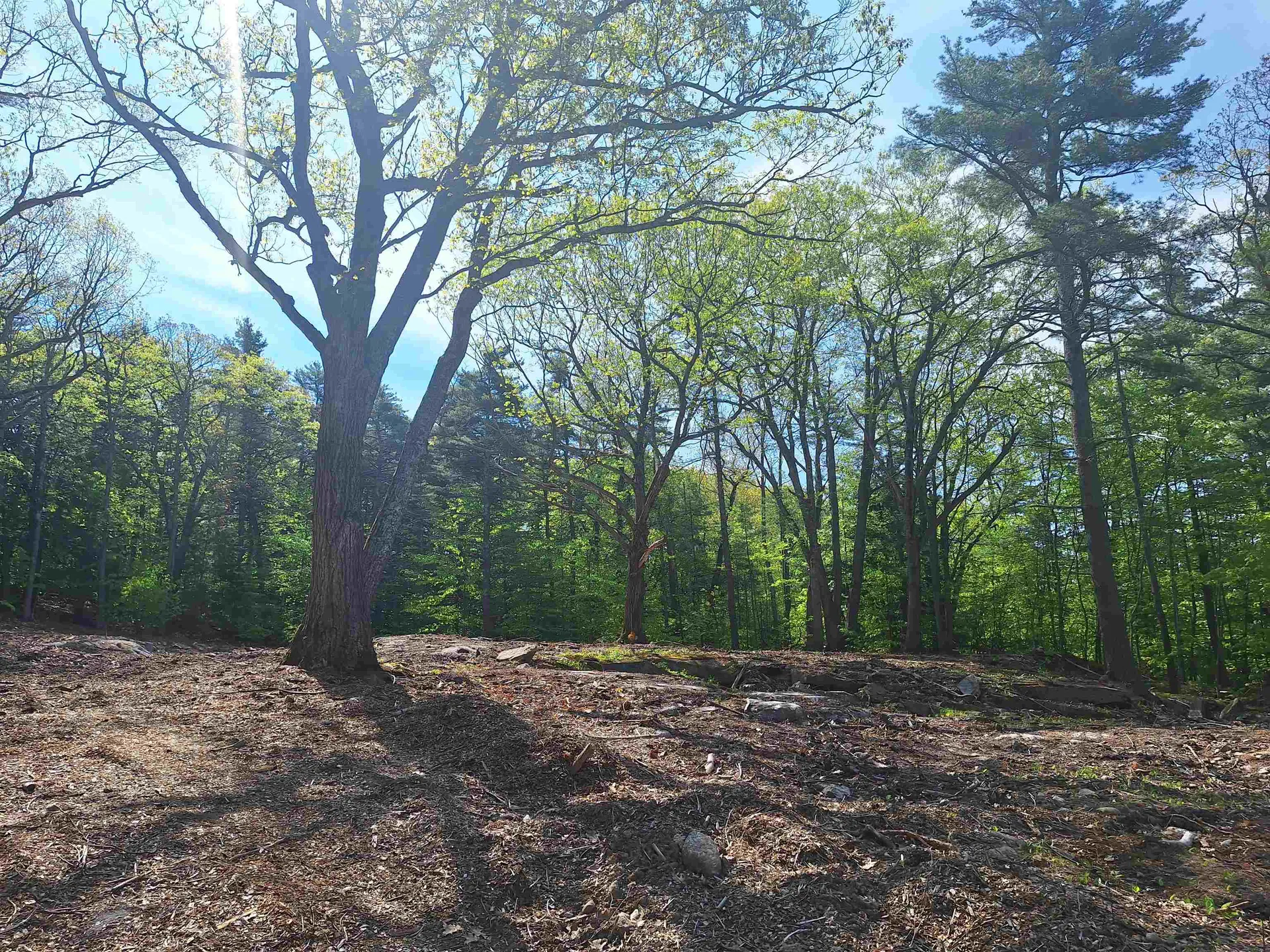 133 Sleeper Hill Road Gilford NH 03249