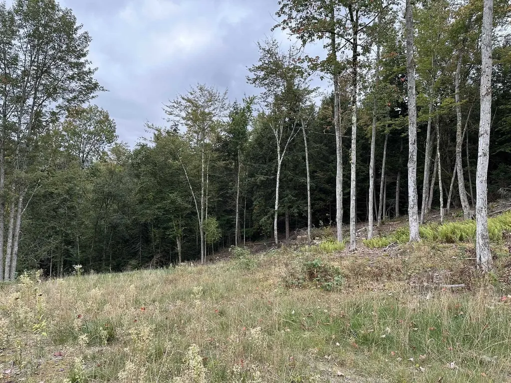 863 Vt Route 14 Craftsbury VT 05826