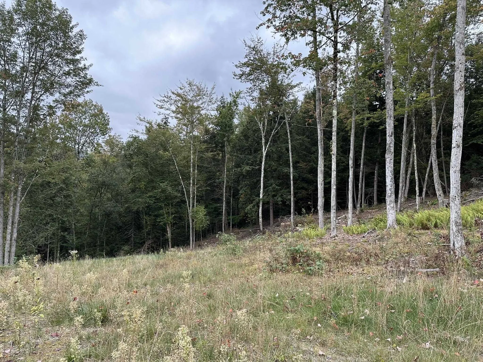 863 Vt Route 14 Craftsbury VT 05826