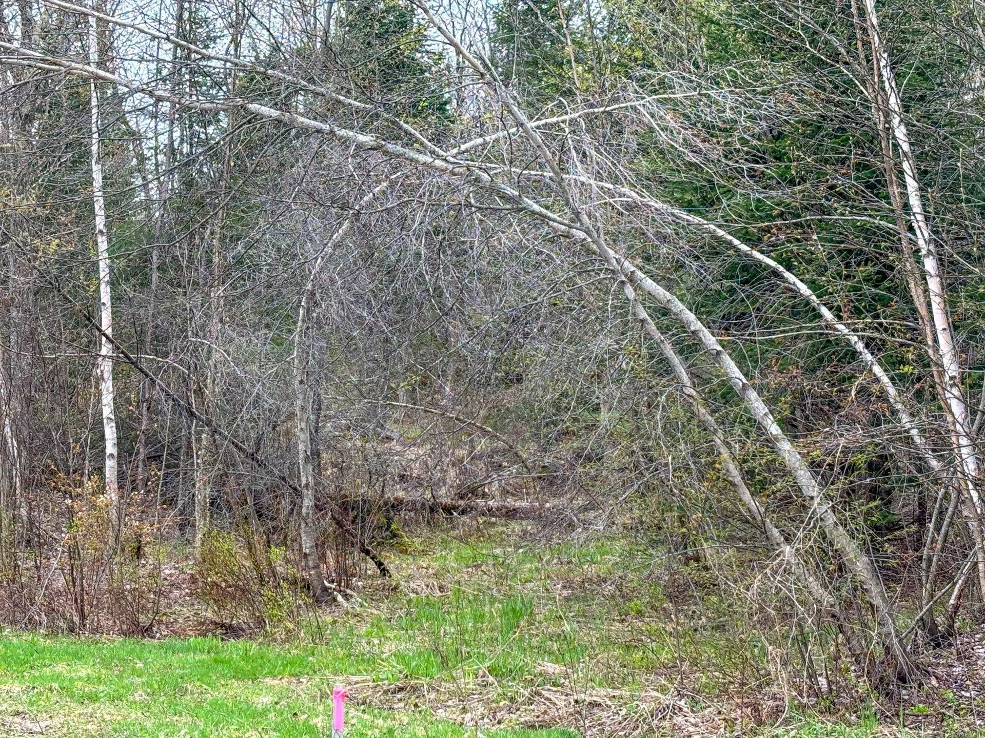 0 Atwood Road Brighton VT 05846