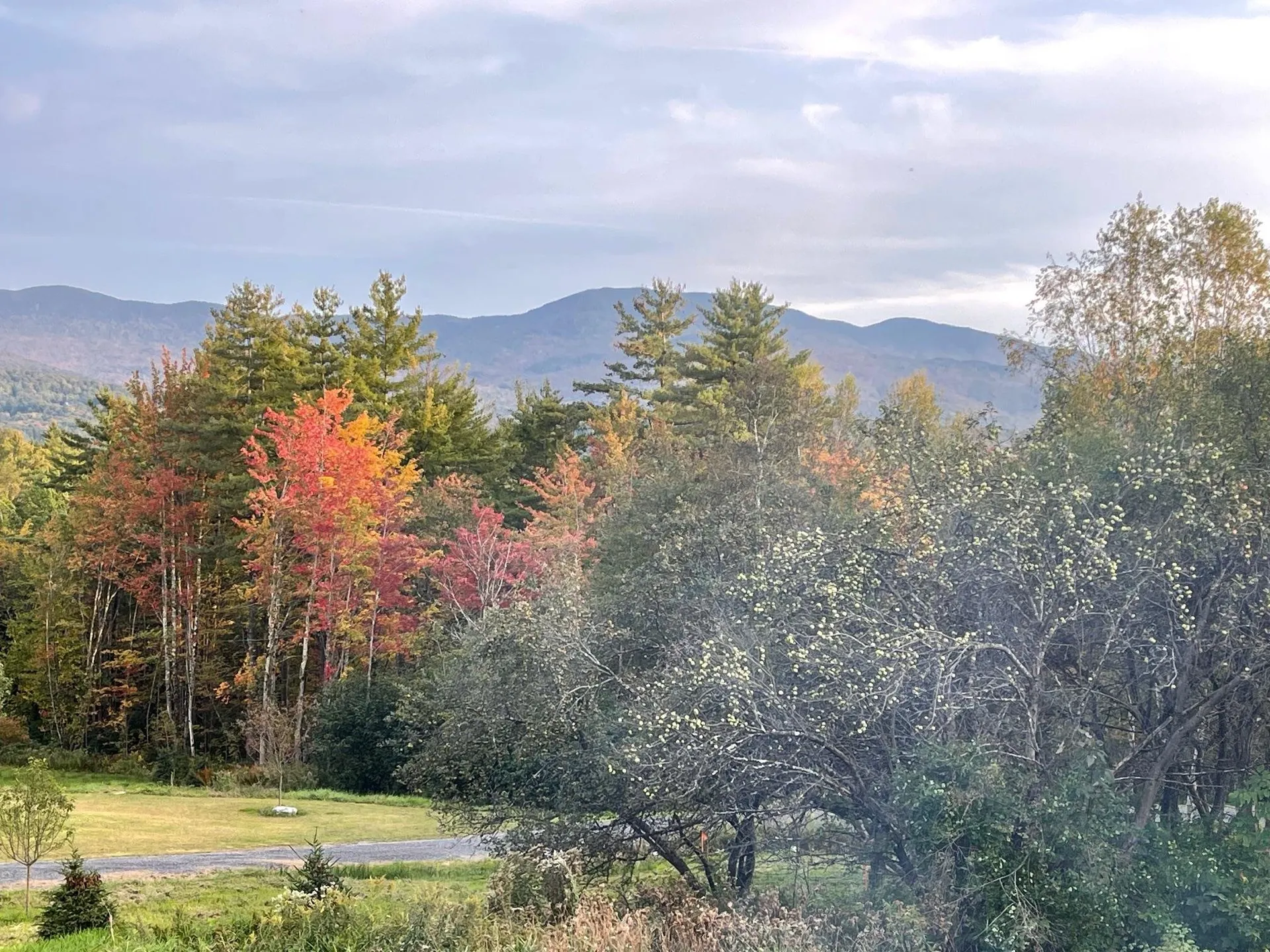 1110 Weeks Hill Road Stowe VT 05672