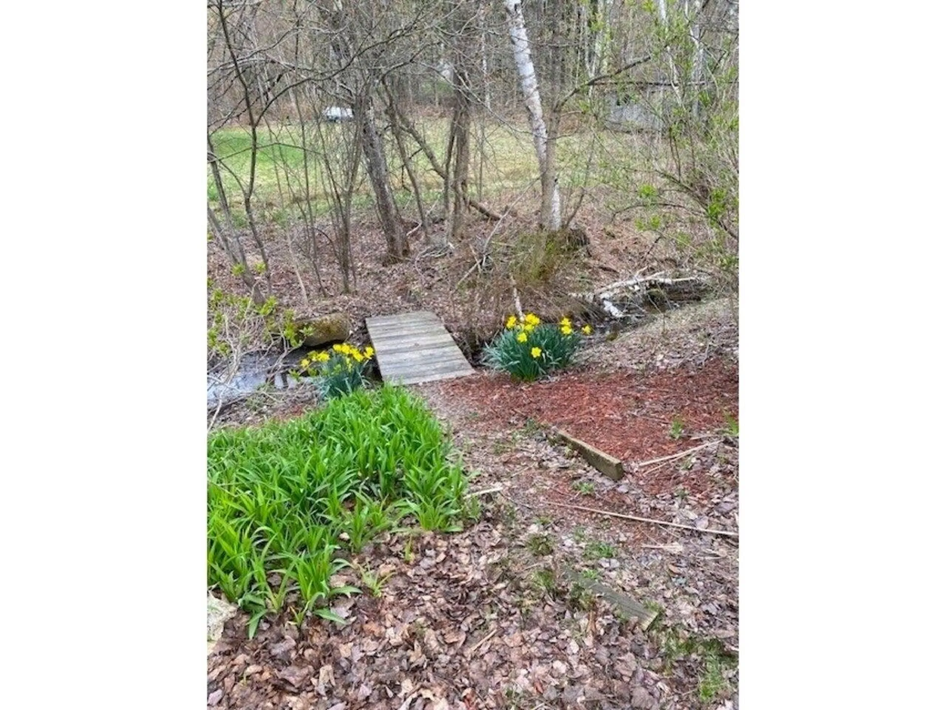 8 Robbins Mountain Road Richmond VT 05477