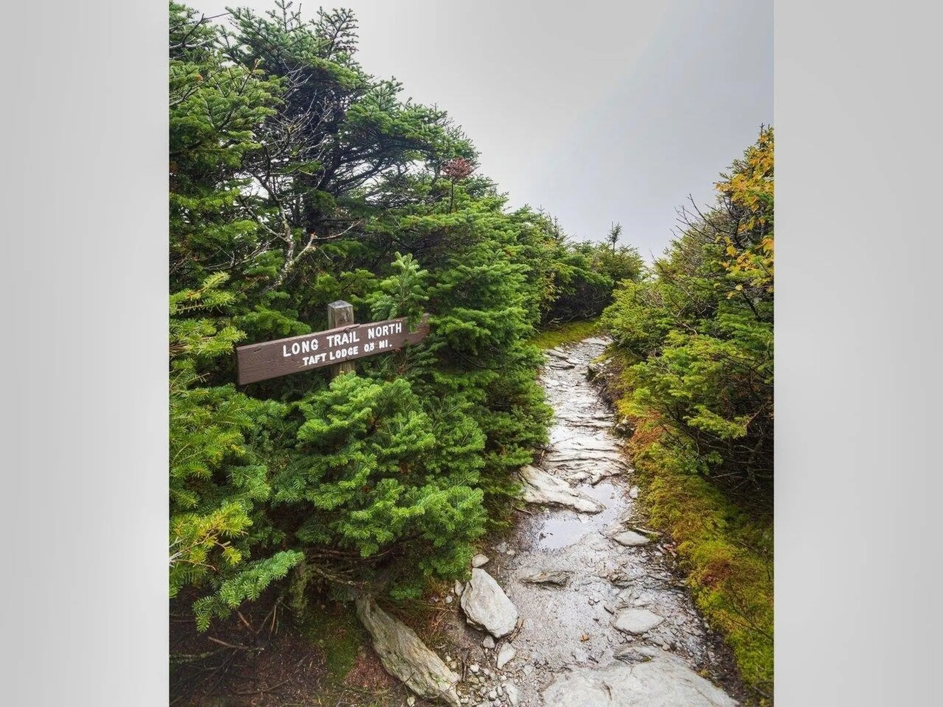 8 Robbins Mountain Road Richmond VT 05477