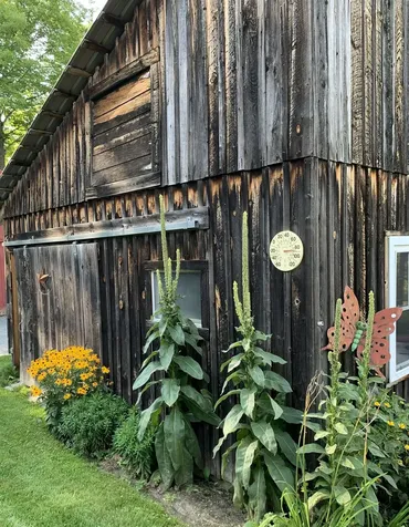 4640 Hollister Hill Road Marshfield VT 05658