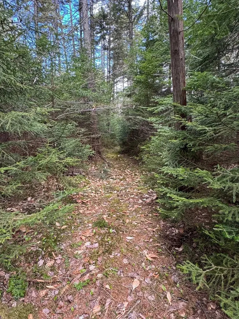 187 Hardwood Mountain Road Marshfield VT 05658