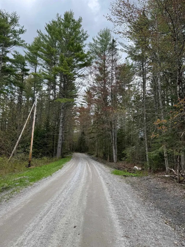 187 Hardwood Mountain Road Marshfield VT 05658