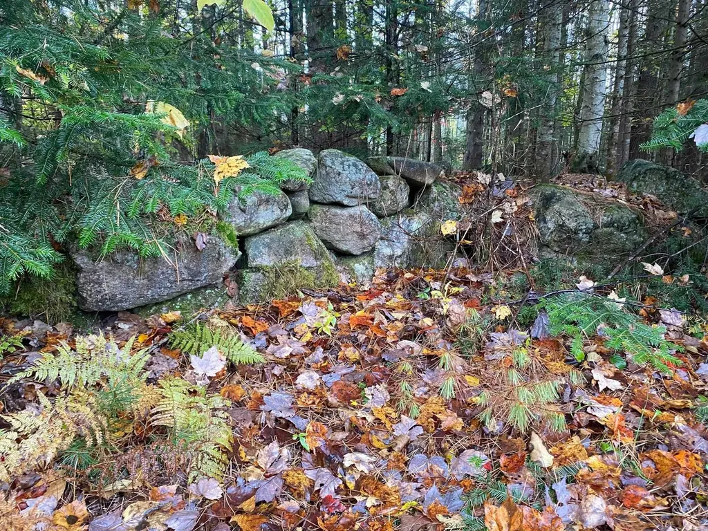 187 Hardwood Mountain Road Marshfield VT 05658