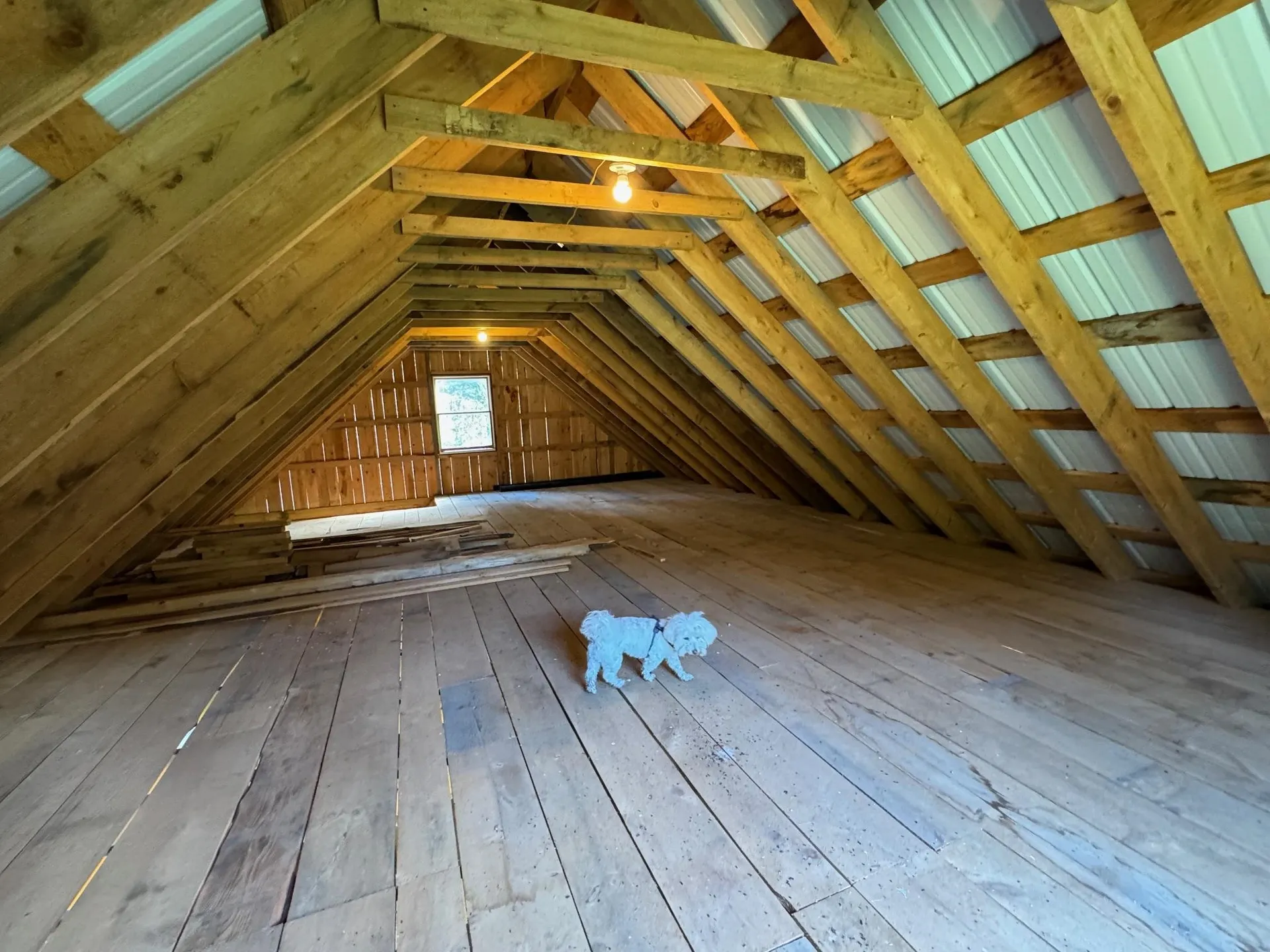 187 Hardwood Mountain Road Marshfield VT 05658
