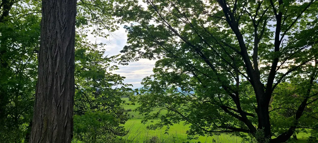 1907 Mountain Road Addison VT 05491