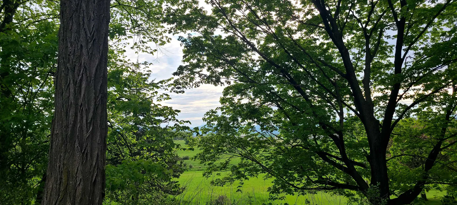 1907 Mountain Road Addison VT 05491