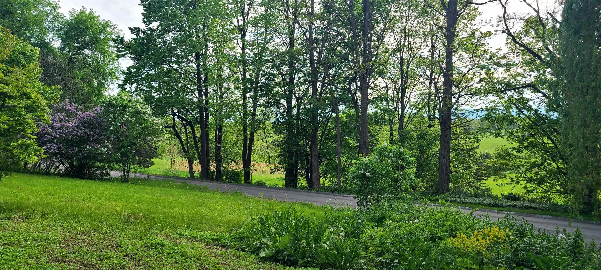 1907 Mountain Road Addison VT 05491