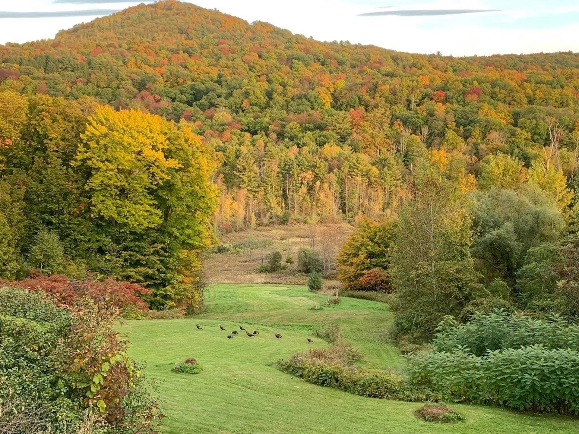 7 Punch Bowl Lane Milton VT 05468