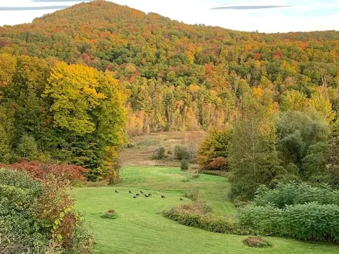 7 Punch Bowl Lane Milton VT 05468