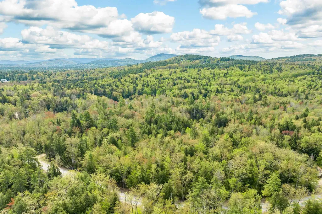 LOTS42,43,44,49 G Street Conway NH 03818