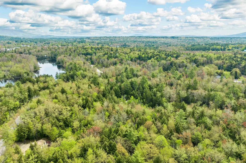 LOTS42,43,44,49 G Street Conway NH 03818