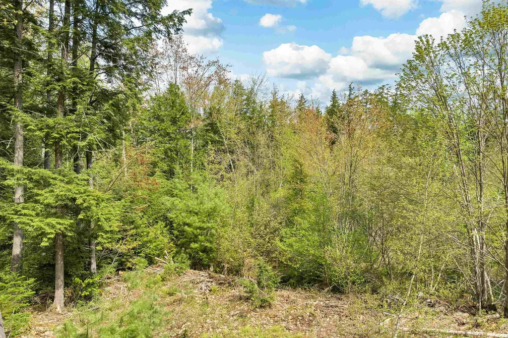 LOTS42,43,44,49 G Street Conway NH 03818