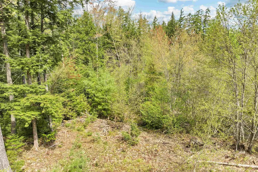 LOTS42,43,44,49 G Street Conway NH 03818