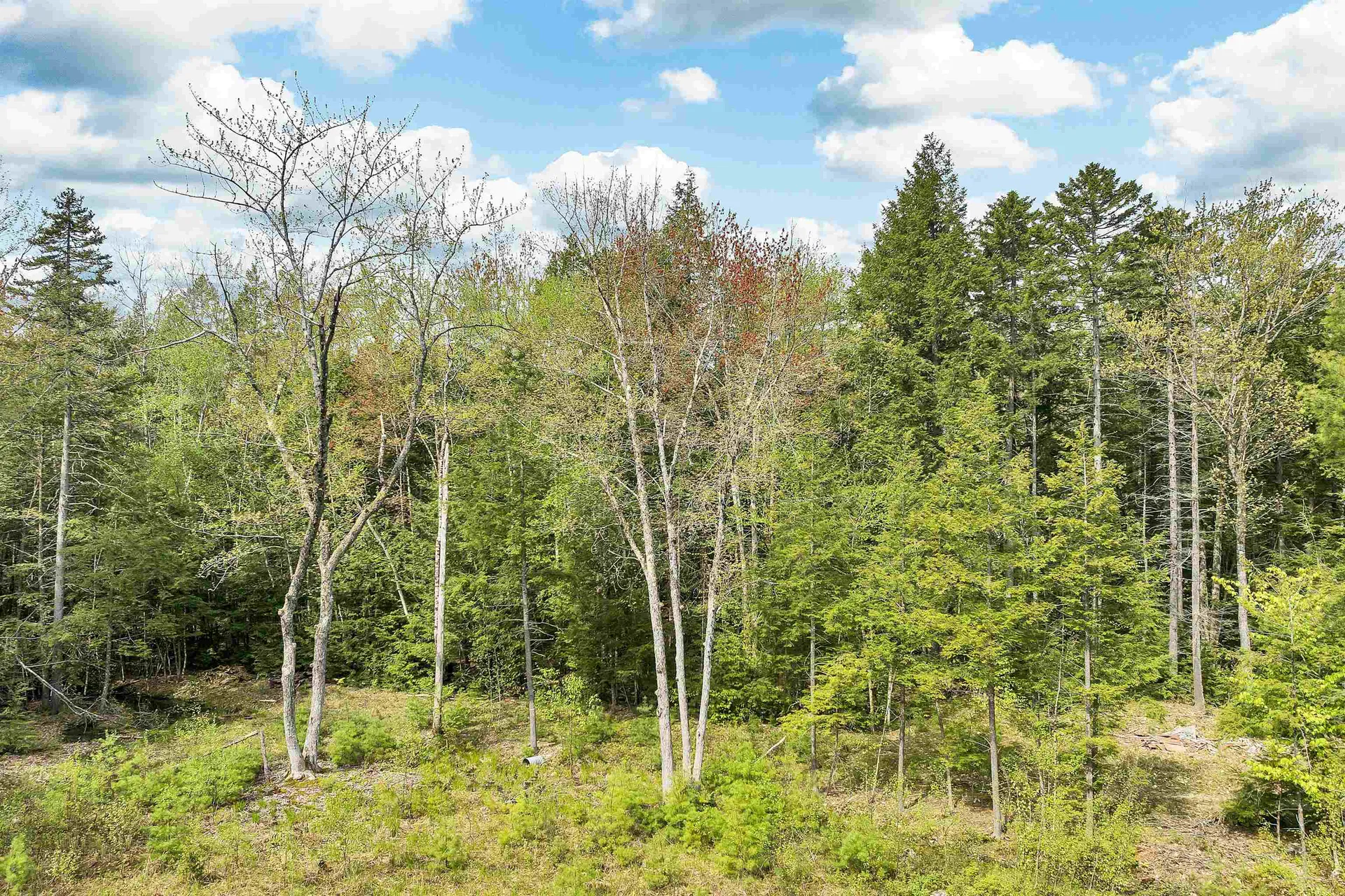 LOTS42,43,44,49 G Street Conway NH 03818