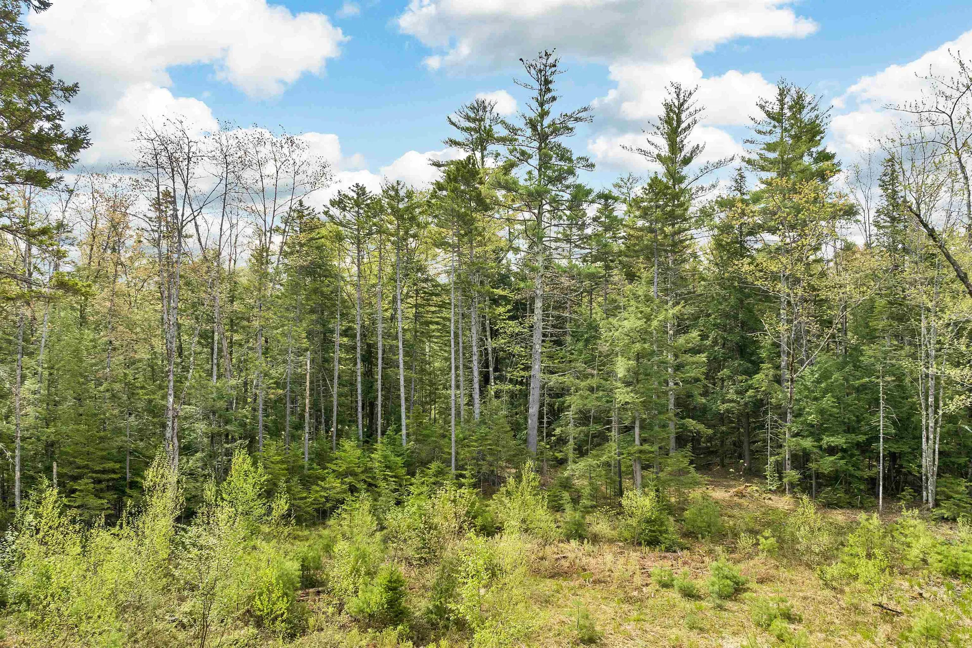 LOTS42,43,44,49 G Street Conway NH 03818