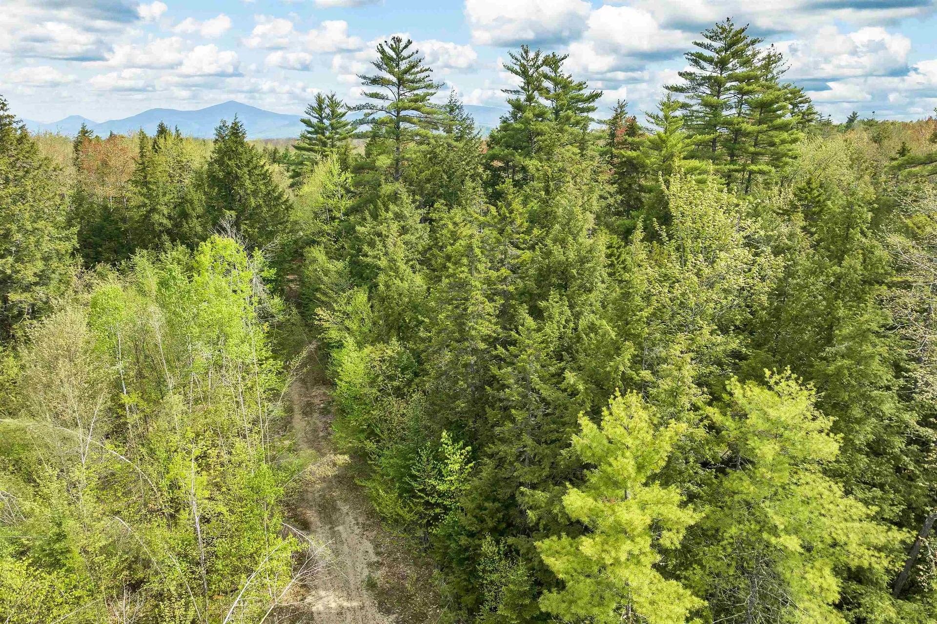 LOTS42,43,44,49 G Street Conway NH 03818