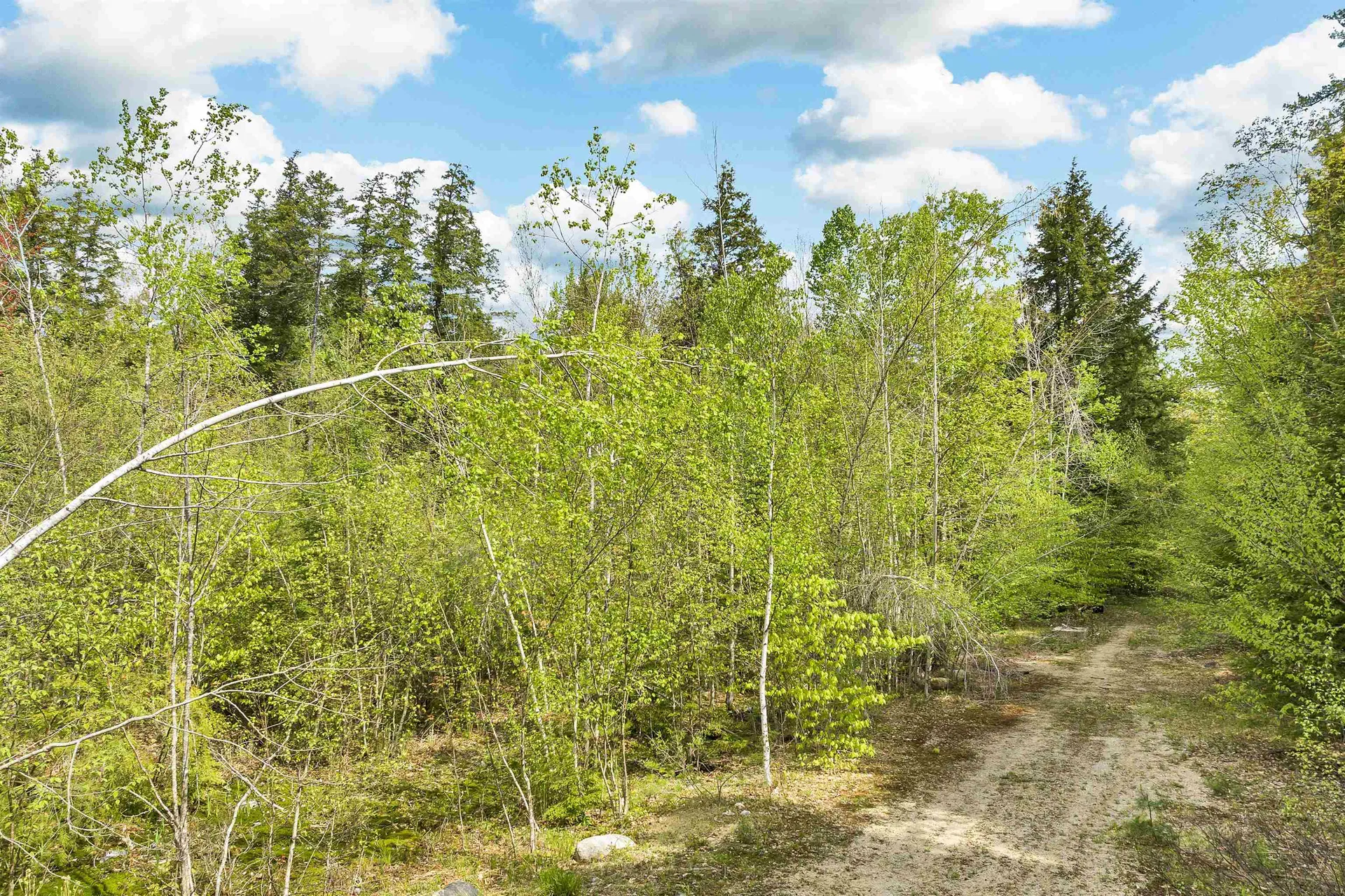 LOTS42,43,44,49 G Street Conway NH 03818