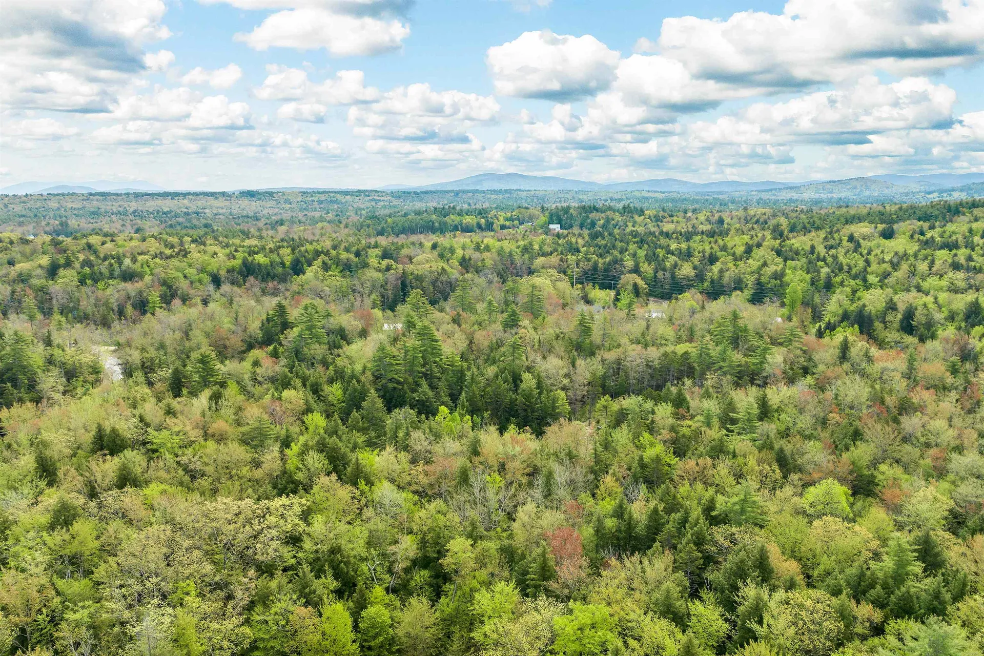 LOTS42,43,44,49 G Street Conway NH 03818